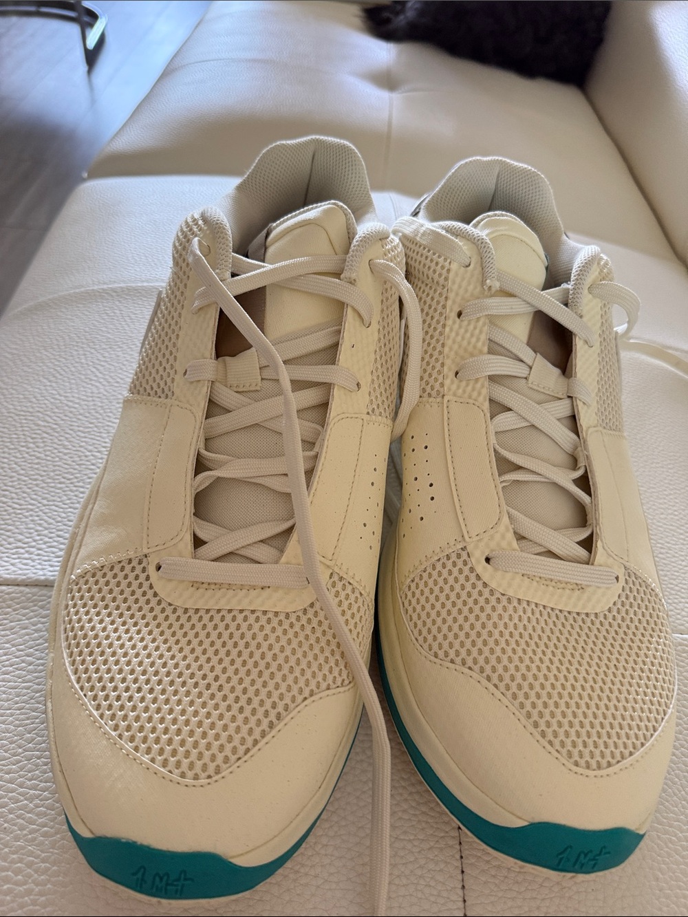 Nike Men's Sneakers Beige with Teal Accents